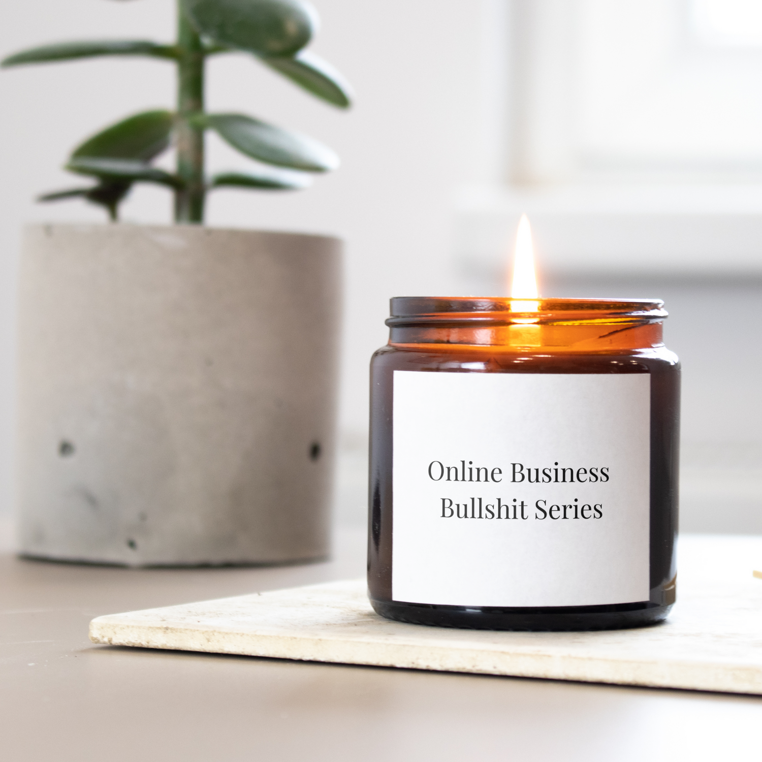 The Online Business Bullshit Series